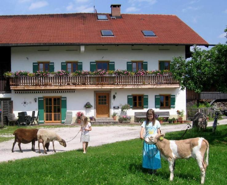 Zaissererhof Brannenburg Ngoại thất bức ảnh